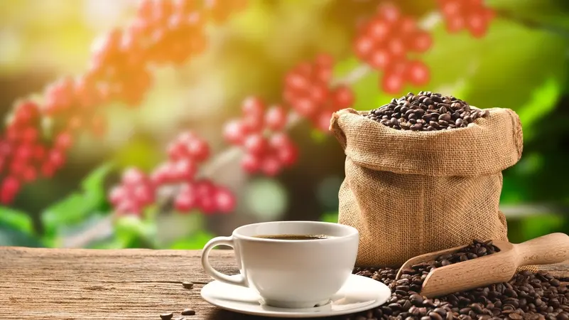 استمرار تراجع أسعار البن بدعم من عمليات جني الأرباح