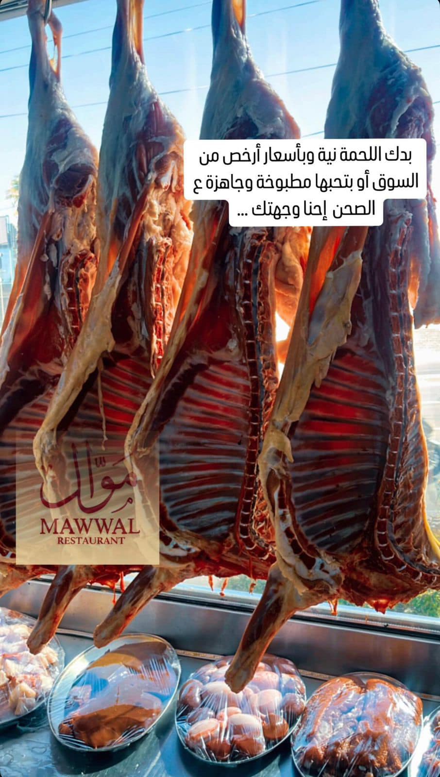 مطعم موال - عمان - الدوار السادس أشهى المأكولات🌹❤️🇯🇴