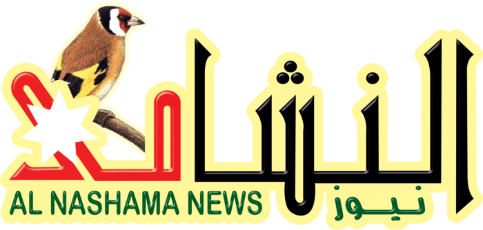 النشامى نيوز